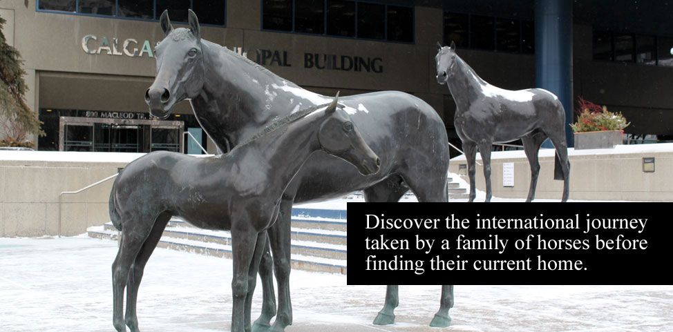 CalgaryWalks, Calgary walking tours, things to do in Calgary.